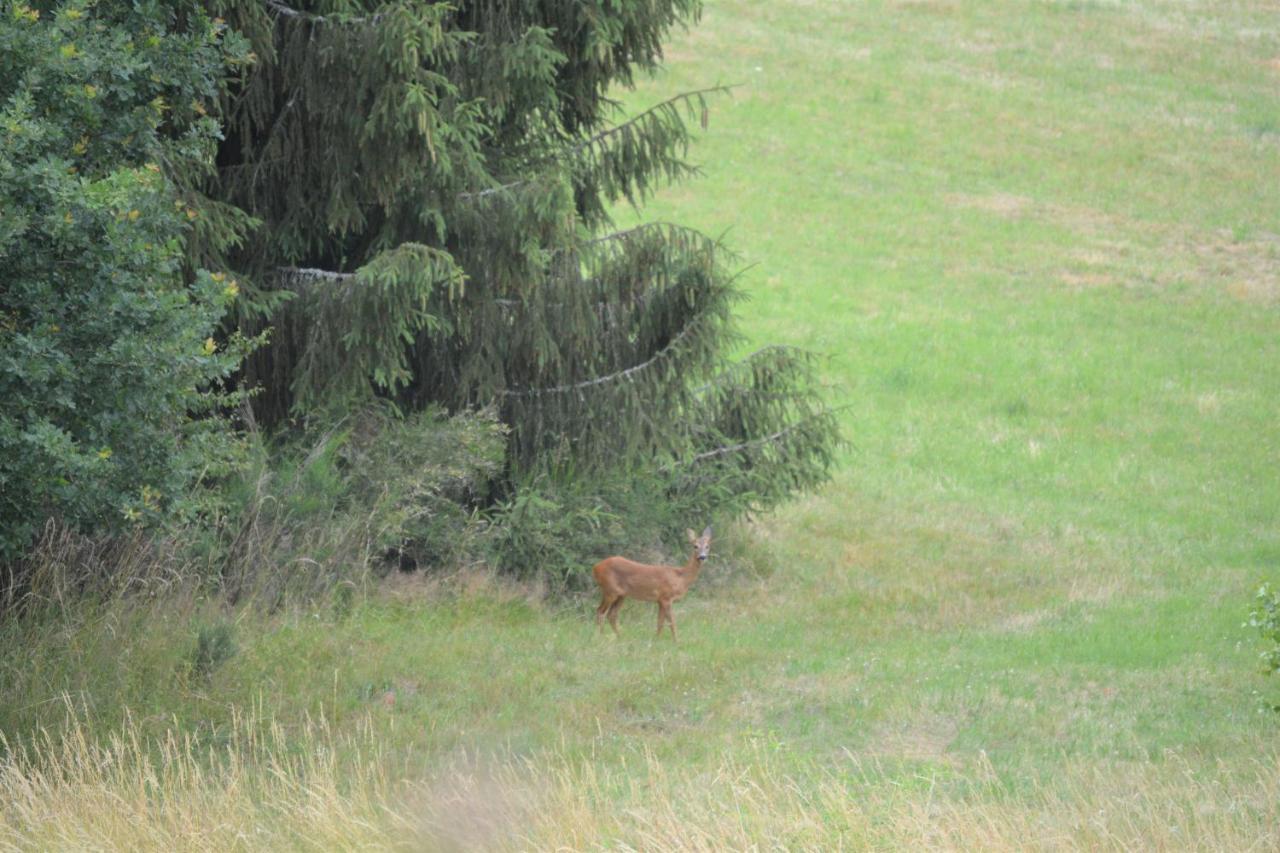 B&B Prosterath-Hochwald Bagian luar foto