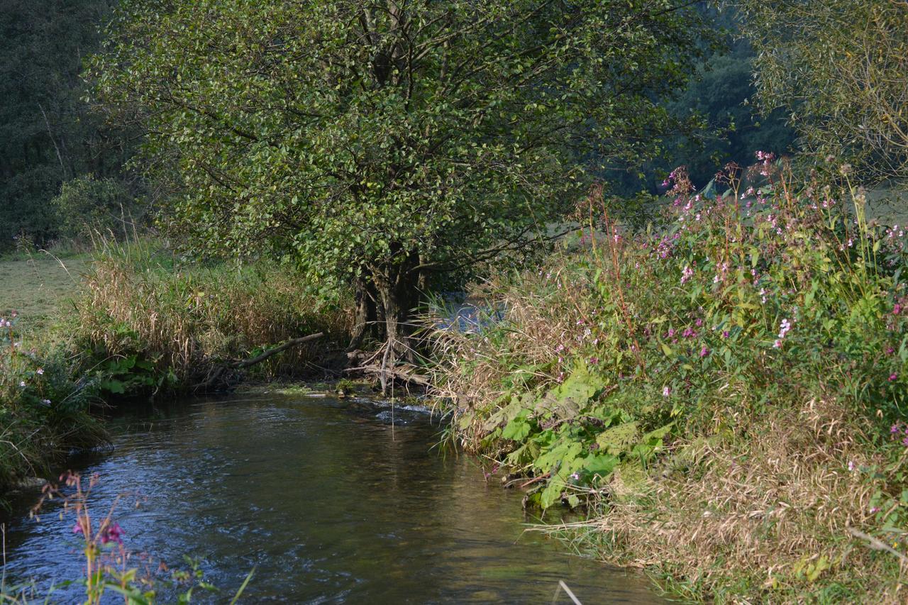 B&B Prosterath-Hochwald Bagian luar foto