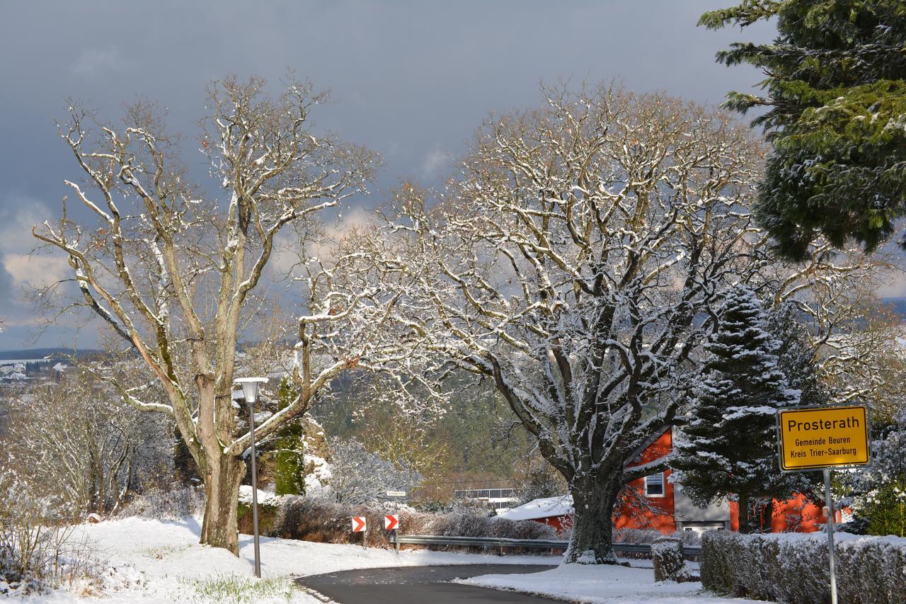 B&B Prosterath-Hochwald Bagian luar foto